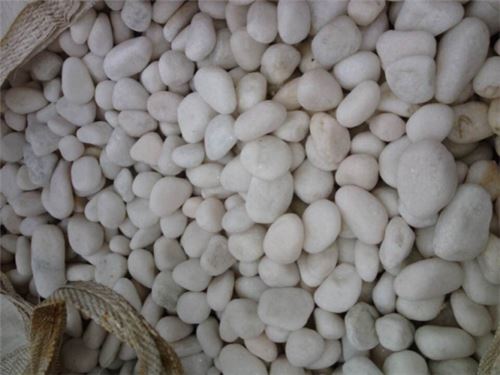 white Pebble Stone4.png