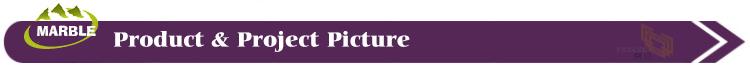 Product&Project Picture.jpg