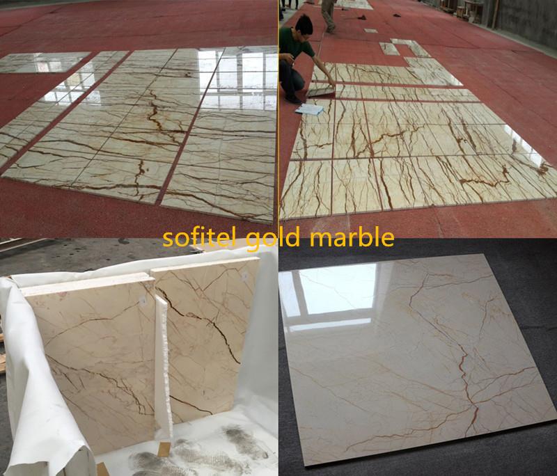 sofitel gold marble.jpg