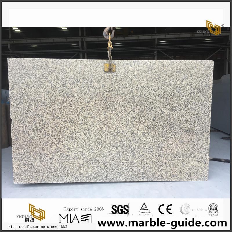 China Chrysanthemum Yellow Granite Slab & Countertops 2