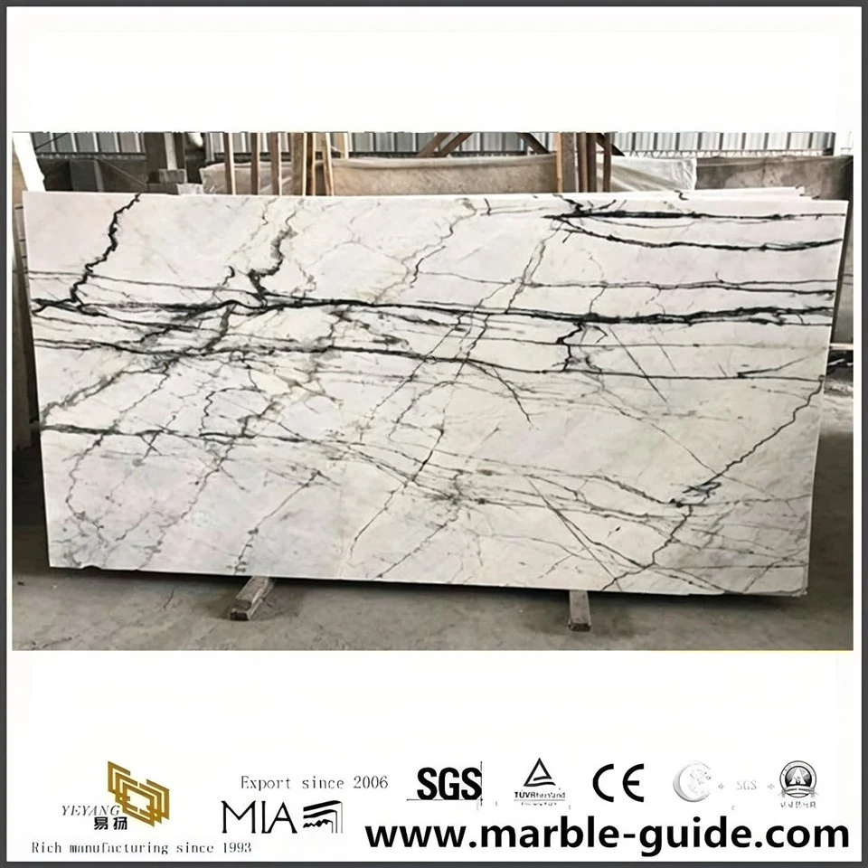 Picasso White Marble Slab