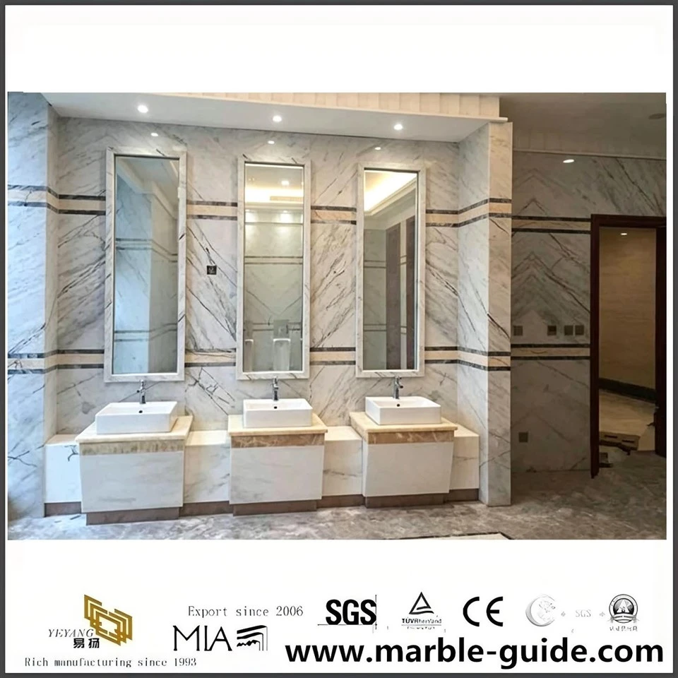 Picasso White Marble Slab best
