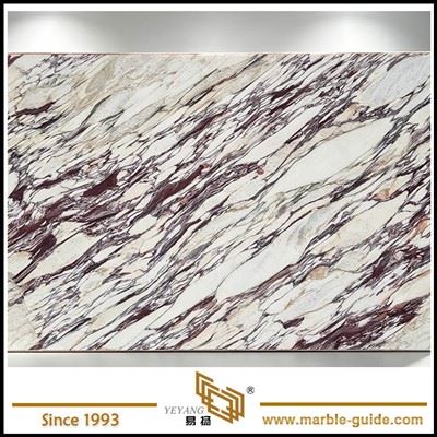 Calacatta Viola Marble Slab For Wholesale