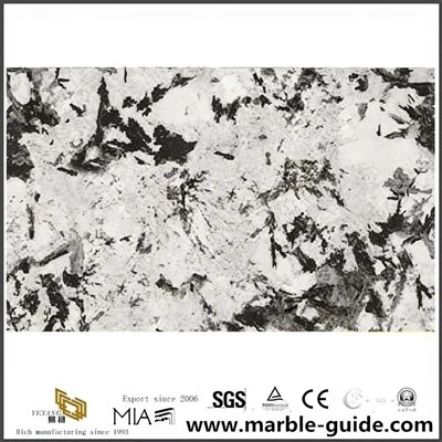 Snow Fox Marble Slab