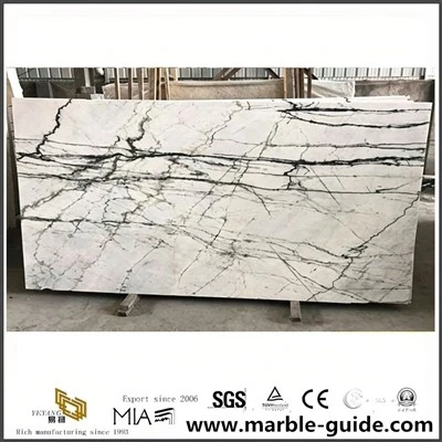 Picasso White Marble Slab