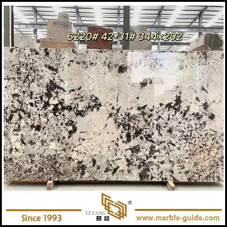 Snow Mountain Blue Marble