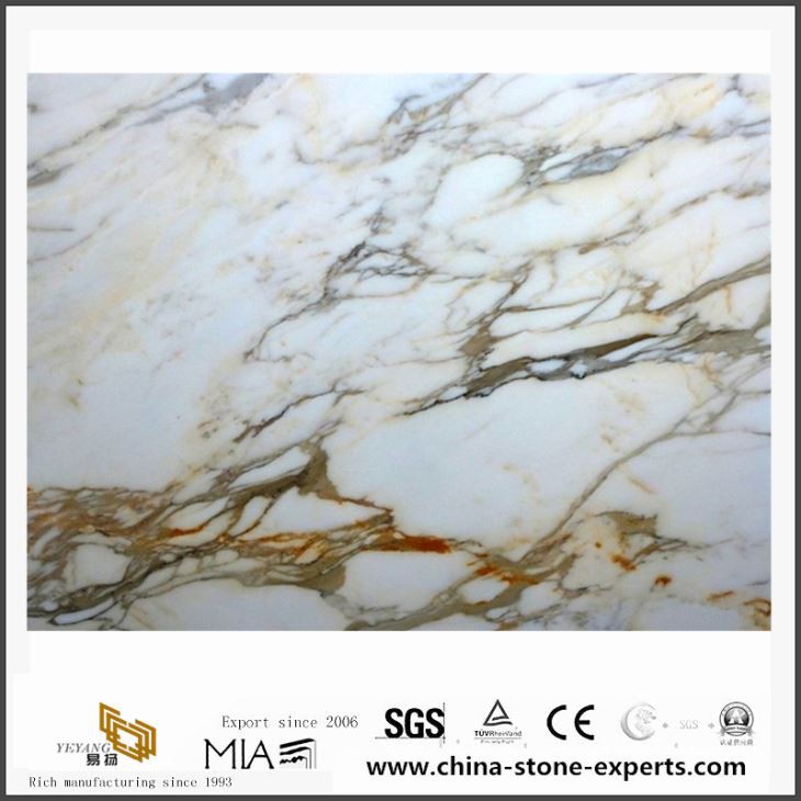 Calacatta Borghini Dolomite Marble Decorative Stone for Bathroom Countertops