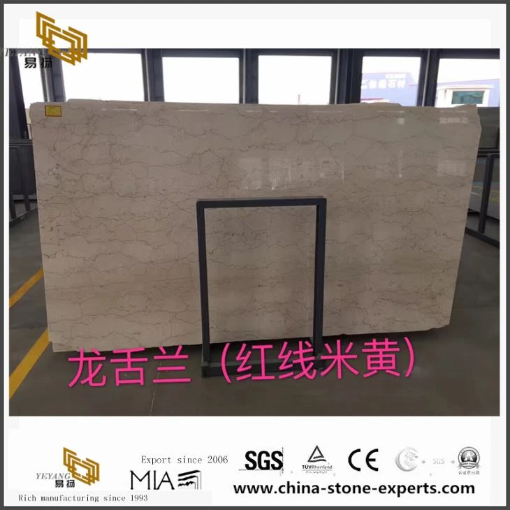 Shell Beige Stone Marble for Bedrooms