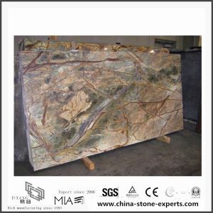 India Rainforest Green Marble Slab for Flooring Tile
