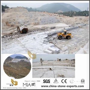 Vermont Grey Marble Quarries Stone Business Offer Quality Tiles