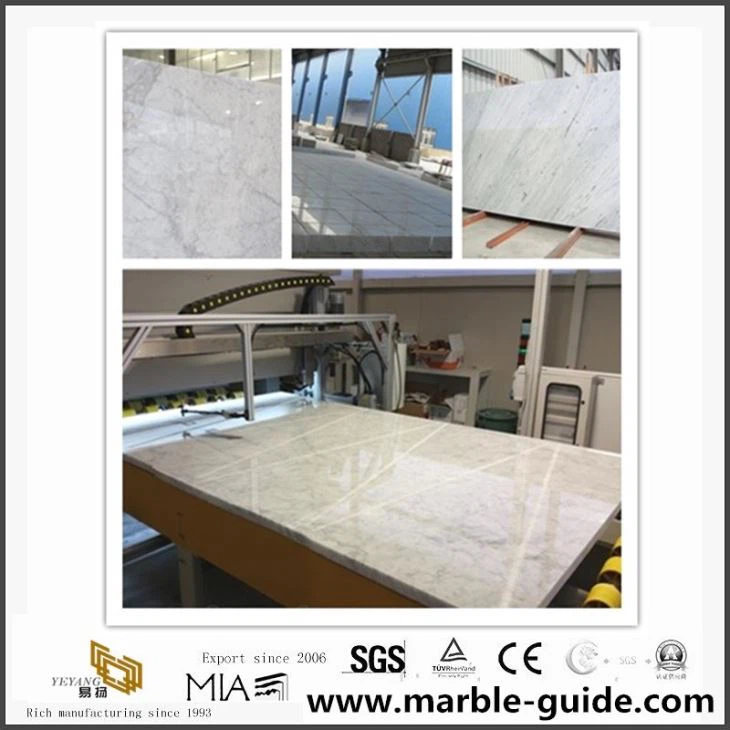 Cheap Carrara White Marble Natural Stone Marble For Floor/Wall