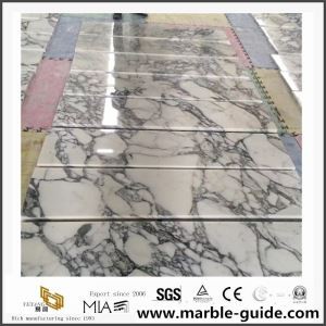 Arabescato Venato/ Castro White Marble China Hot Sale Building Material Slabs