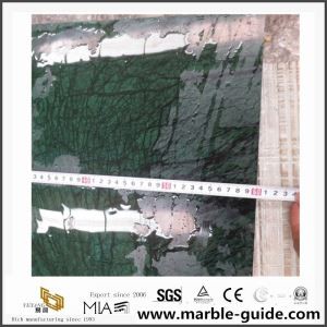 Good Price India Verde Green Marble for Slabs Or Tiles On Sale