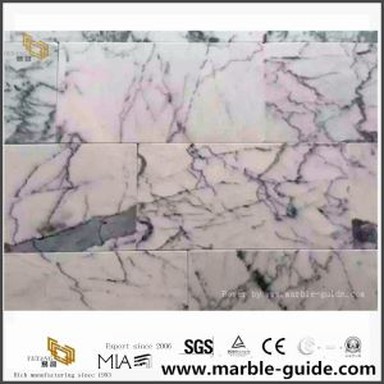 China Arabescato White Marble Tiles for Hotel Flooring Wall