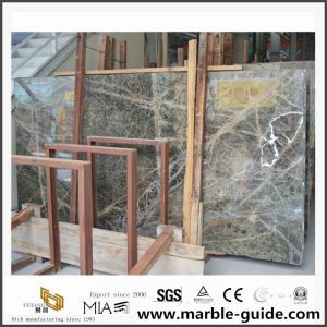 Rainforest Green Marble Slab with Low Price Design for Hotel Decoration