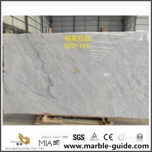 New Tesla White Marble Slabs for Sale