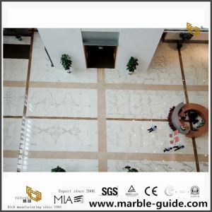 Statuario Marble Project for Hall