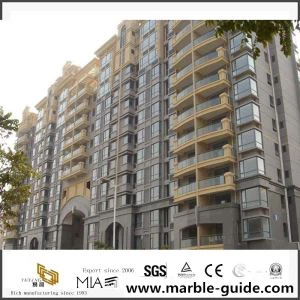 Villa Project for Grey Granite Blue Leopard Granite Project