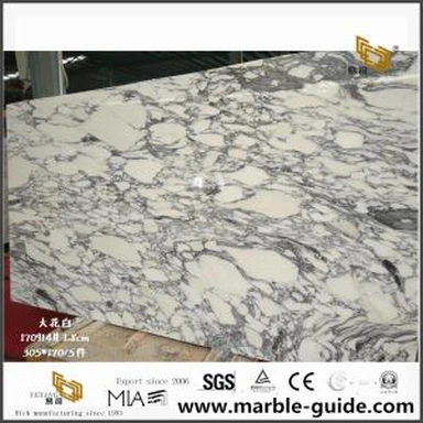 Beautiful Arabescato Marble Slabs