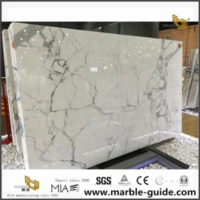 Bianco Statuario Venato Marble Slab for Project
