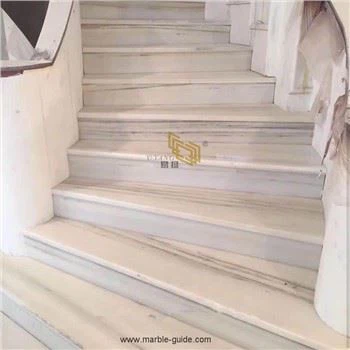 Royal Jasper White Marble Steps Design