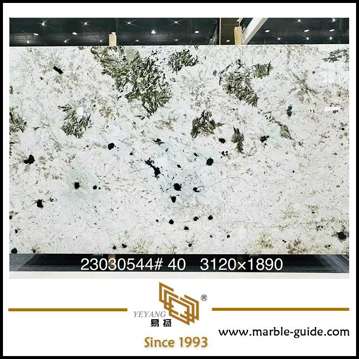 White Luxury Marble Peacock Spread Bookmatch Stone Slabs