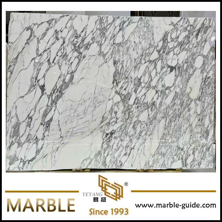 Arabescato venato white marble