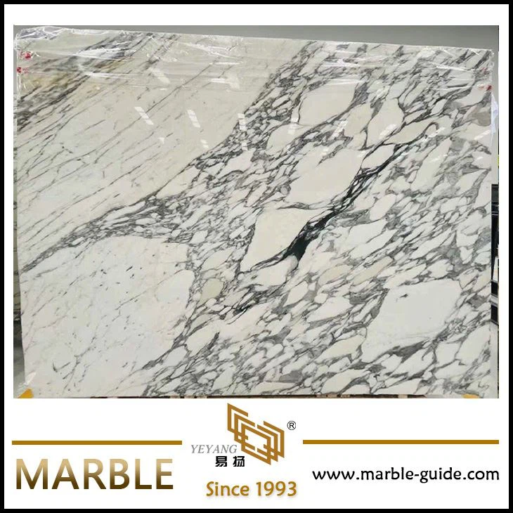 White Arabescato marble